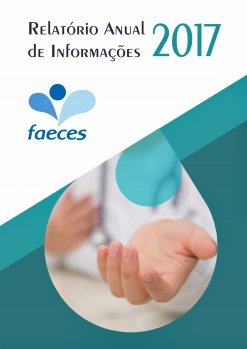 Relatório anual 2017
