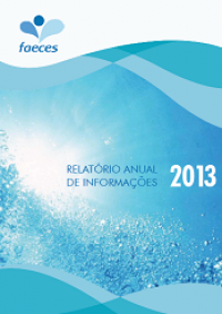 Relatório Anual 2013