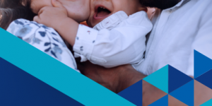 Relatório Anual de Informações 2024 é publicado